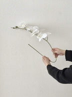 4pcs Artificial Orchid Stems – Real Touch Latex Phalaenopsis for Wedding & Home Decor